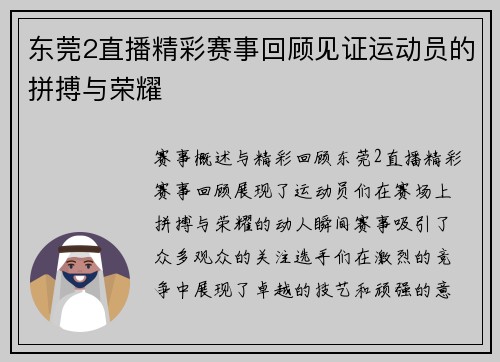 东莞2直播精彩赛事回顾见证运动员的拼搏与荣耀