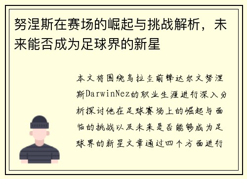 努涅斯在赛场的崛起与挑战解析，未来能否成为足球界的新星